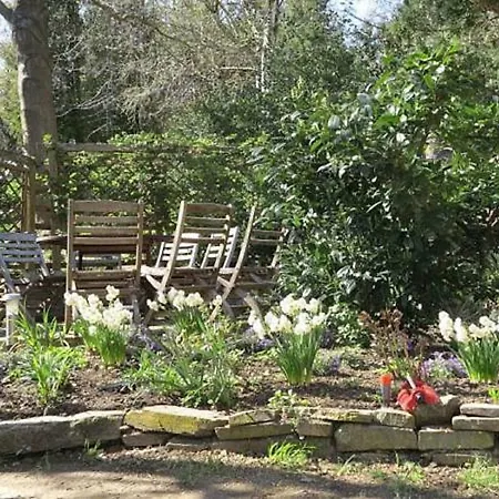 Meisenhof * Schalkenbach