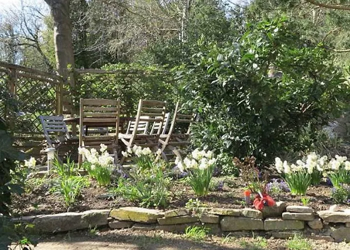 Meisenhof * Schalkenbach